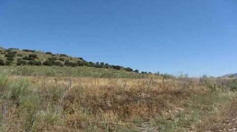 TERRENO URBANIZABLE A LA VENTA EN ATARFECAPARACENA GRANADA, imatge 5