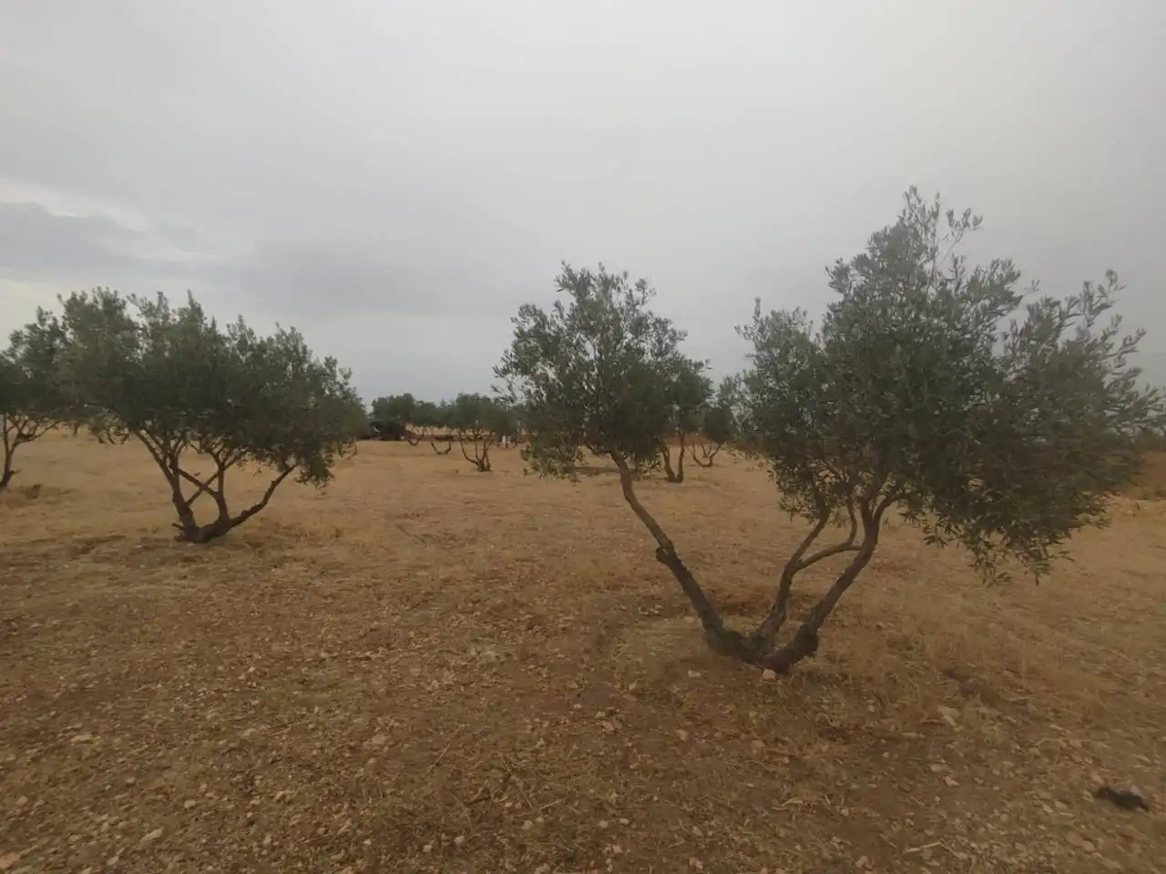 Casa rústica en venta en Poligono 84 Parcela 10, imagen 27