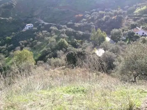 Terreny rústic en venda a Comares, imagen 3
