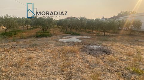 Foto 5 de Casa o chalet en venta en Don Benito, Badajoz