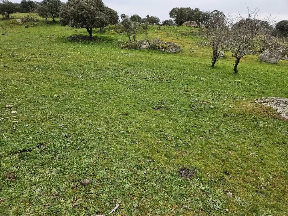Terreni e lotti in vendita a Navas del Madroño, imagen 7