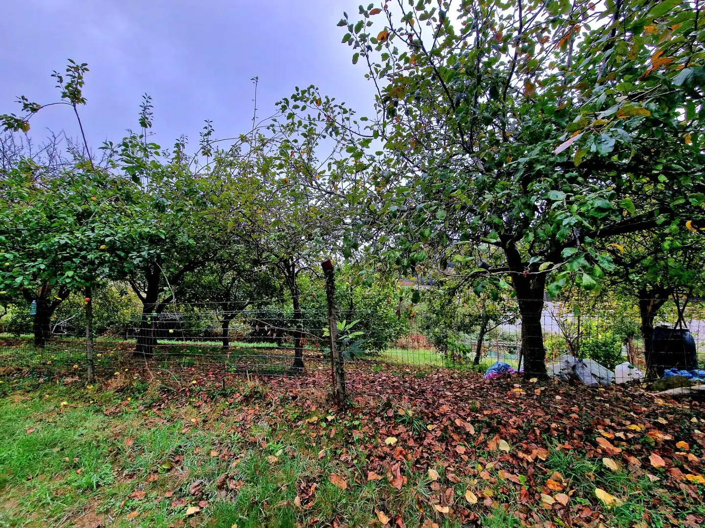 Haus mit Garten zum Verkauf in Ribadeo, imagen 33