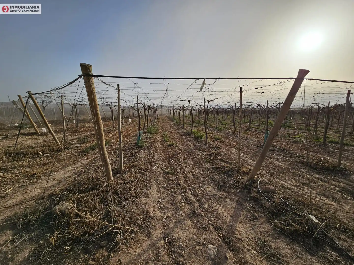 Casa o xalet en venda en Monforte del Cid amb Jardí privat i Traster