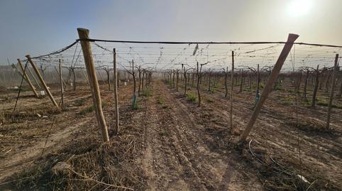 Foto 4 de Casa o xalet en venda a Monforte del Cid, Alicante
