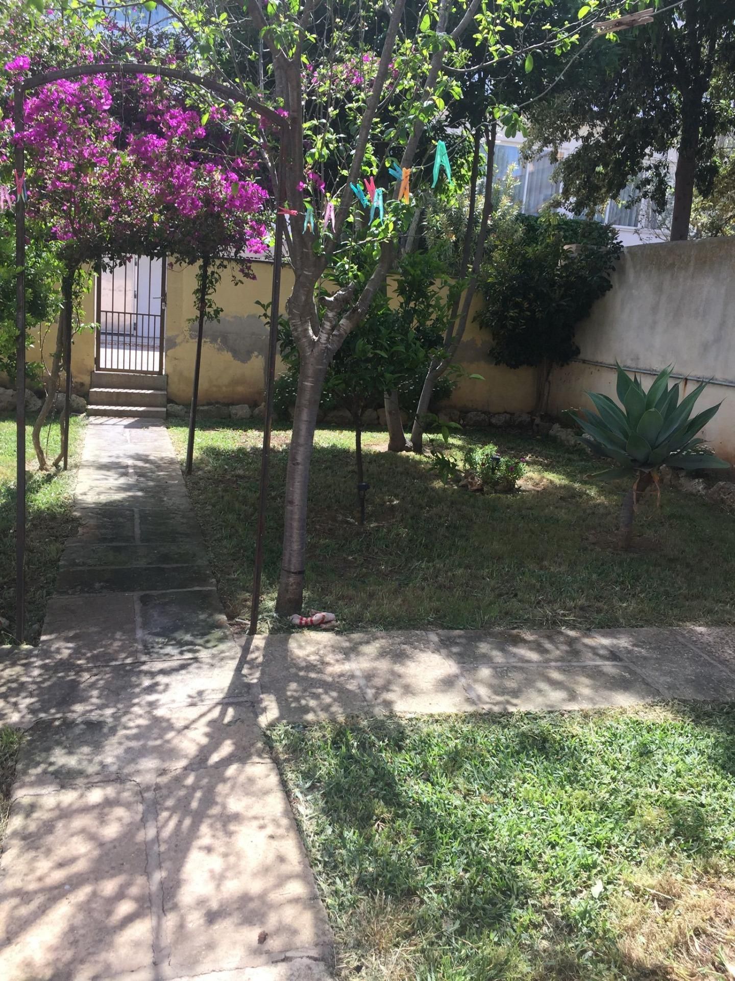 Garden of House or chalet for sale in Santa Margalida