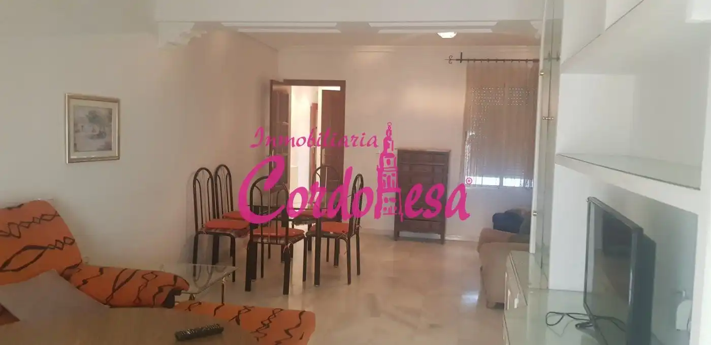 Sala de estar de Piso de alquiler en Córdoba con Aire acondicionado, Calefacción y Amueblado