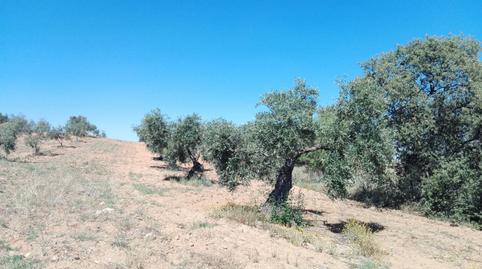 Foto 2 de Residencial en venta en Don Álvaro, Badajoz