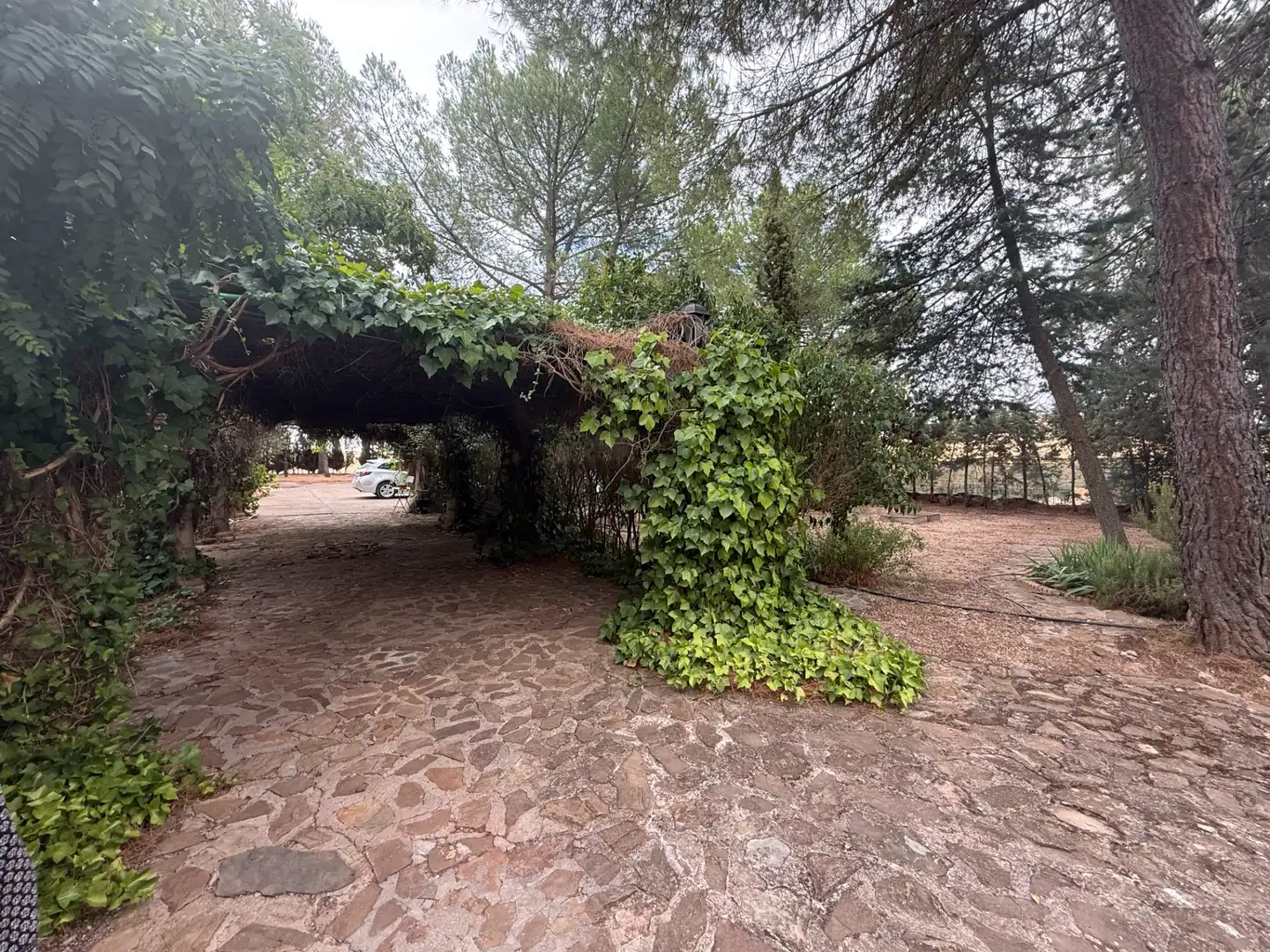 Jardín de Casa o chalet en venta en Poblete con Aire acondicionado, Jardín privado y Piscina