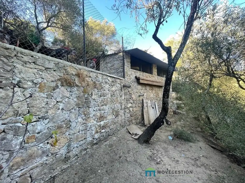 Vista exterior de Finca rústica en venta en Benaocaz con Jardín privado, Terraza y Trastero