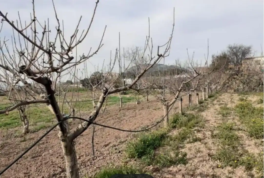 Terreni e lotti in vendita a Alcaudete, imagen 5