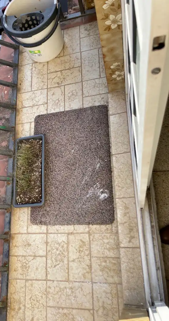 Vista exterior de Casa o chalet en venta en Algeciras con Terraza, Trastero y Balcón