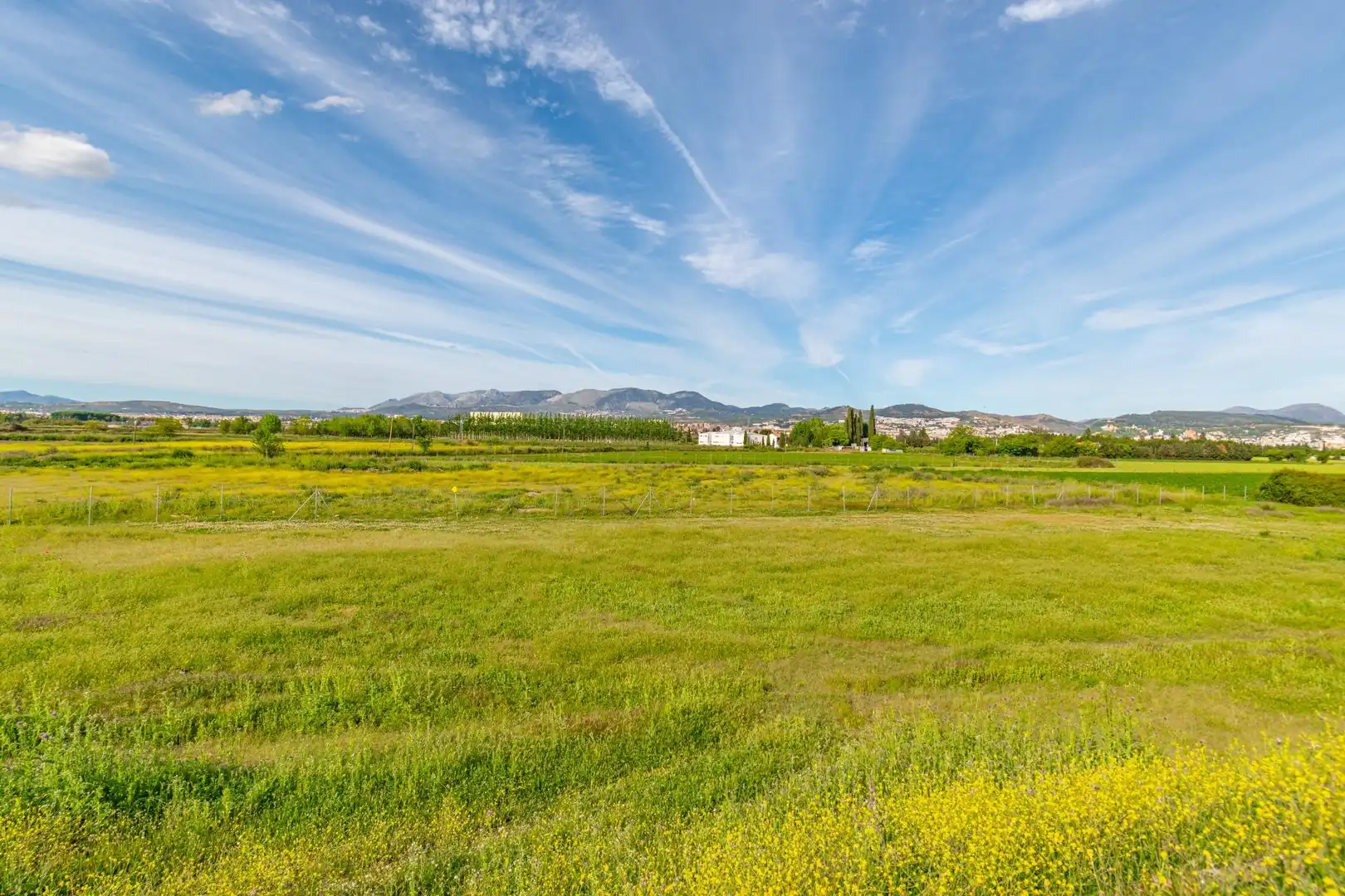 Lands and plots for sale in Polígono 9 Parcela 307 MARACHAT. GRANADA (GRANADA, imagen 8