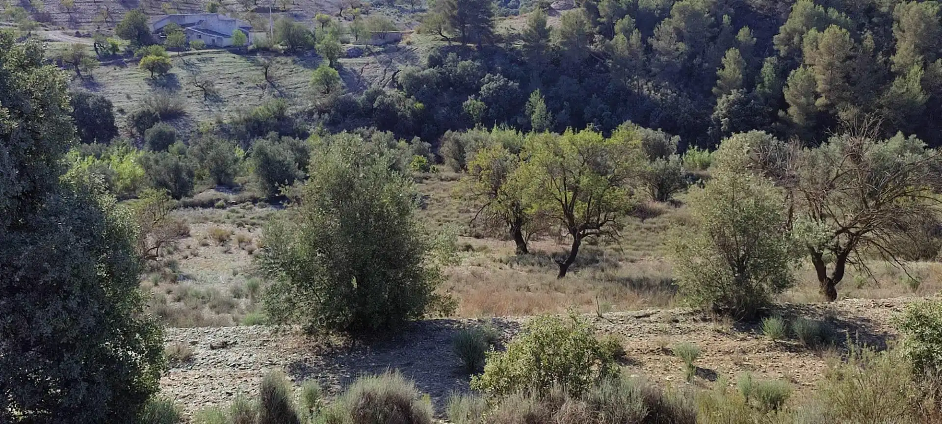 Finca rústica en venta en Lorca con Calefacción