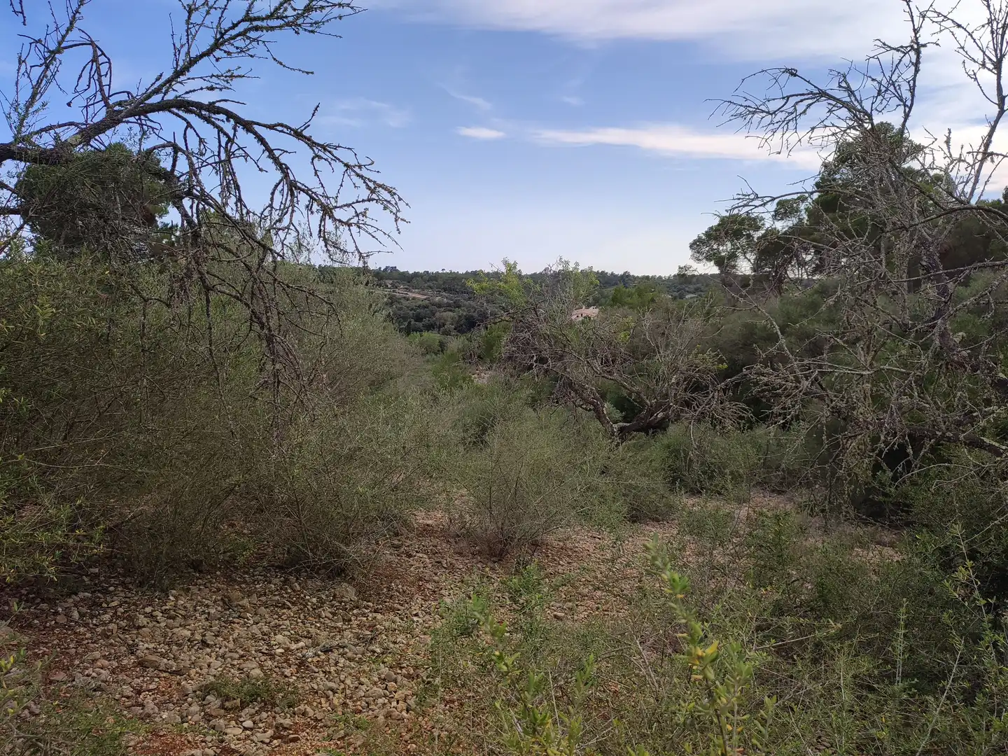 Terrain rustique à vendre à Sant Joan, imagen 8