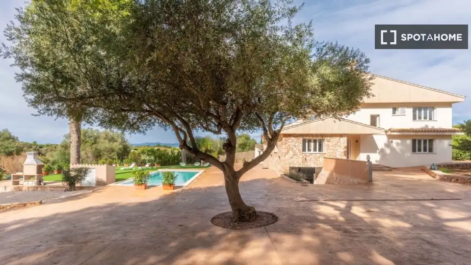 Garden of Apartments for share in  Palma de Mallorca  with Air Conditioner, Terrace and Furnished