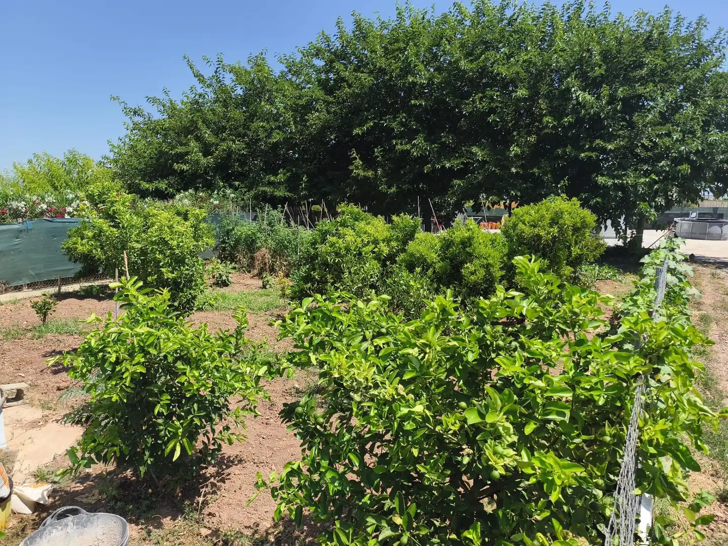 Finca rústica en venta en Foios con Aire acondicionado, Calefacción y Jardín privado