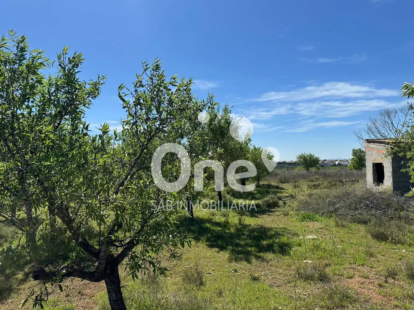 Terrain rustique à vendre à Diseminado-san Ant Benag 29, imagen 6