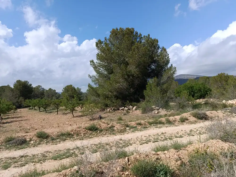 Residential land for sale in N/A, imagen 4