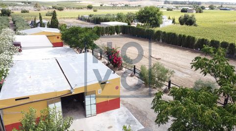 Foto 2 de Finca rústica en venda a Lebrija, Sevilla