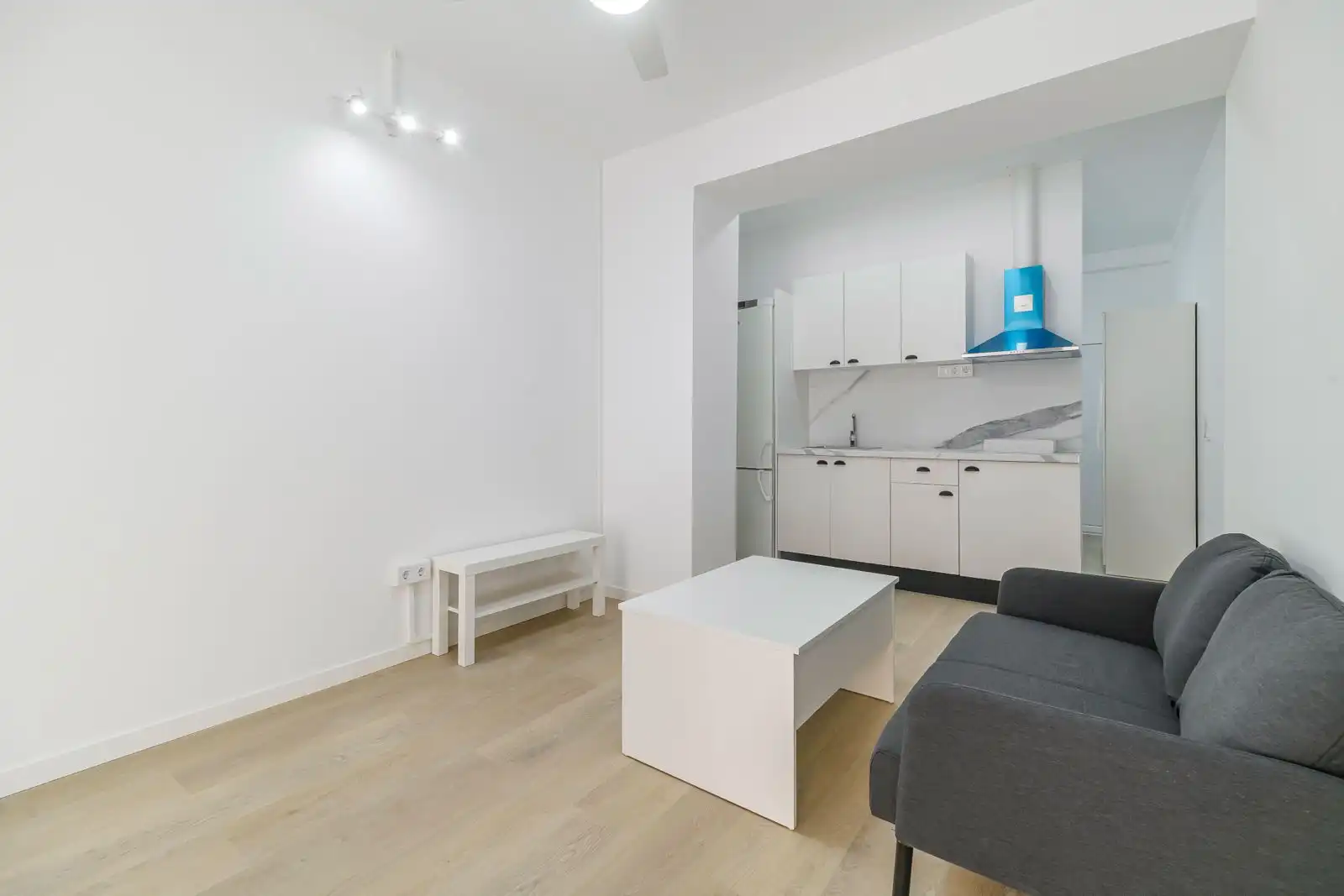 Sala d'estar de Estudi en venda en L'Hospitalet de Llobregat amb Moblat