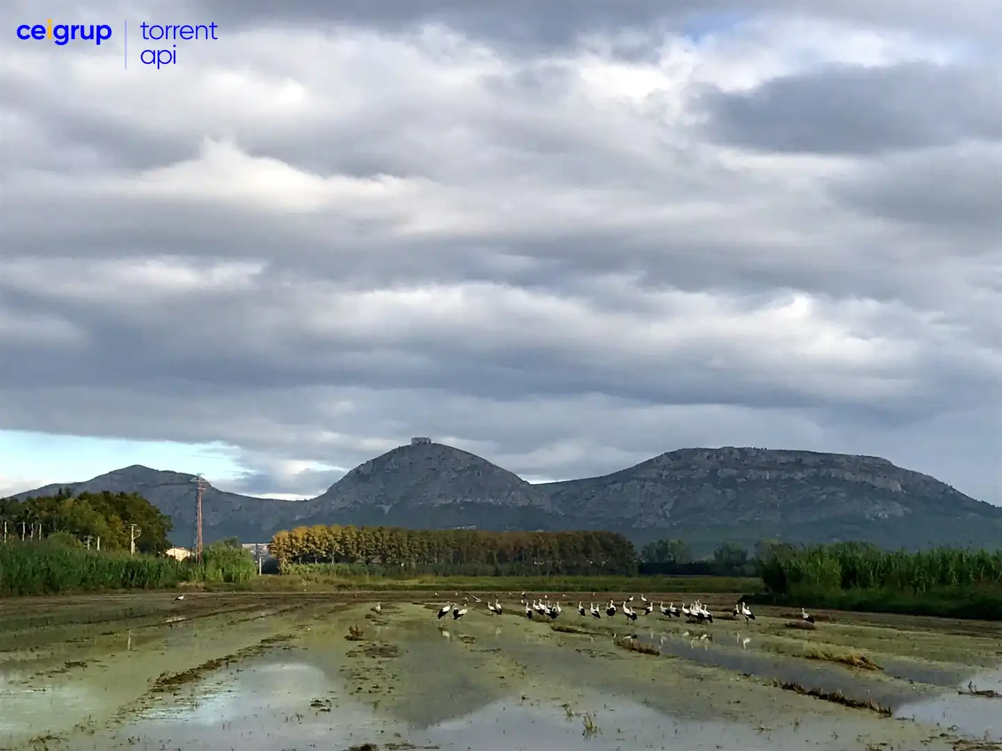 Terrenys i solars en venda a Torroella de Montgrí, imagen 3