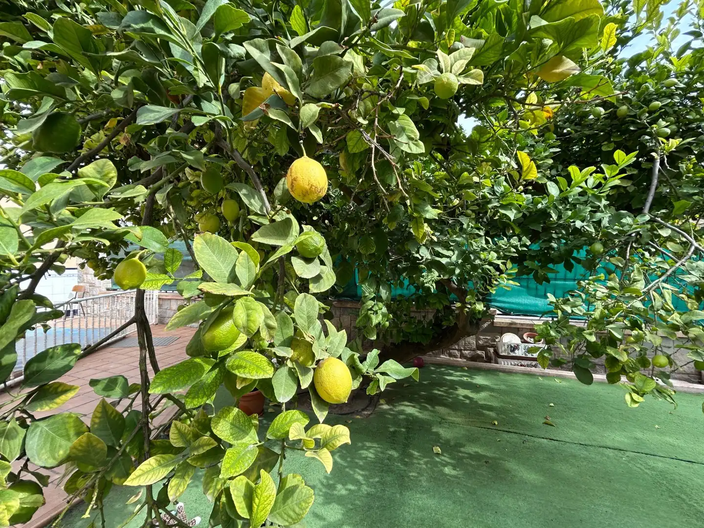 Casa o chalet en venta en Calle MENENDEZ PELAYO, Novelda