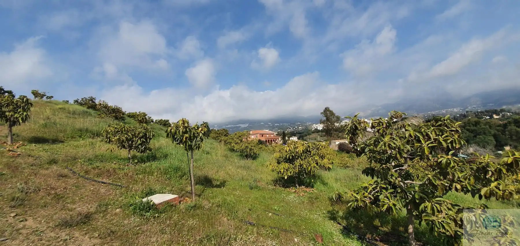Casa rustica in vendita a Campo de Mijas, imagen 12