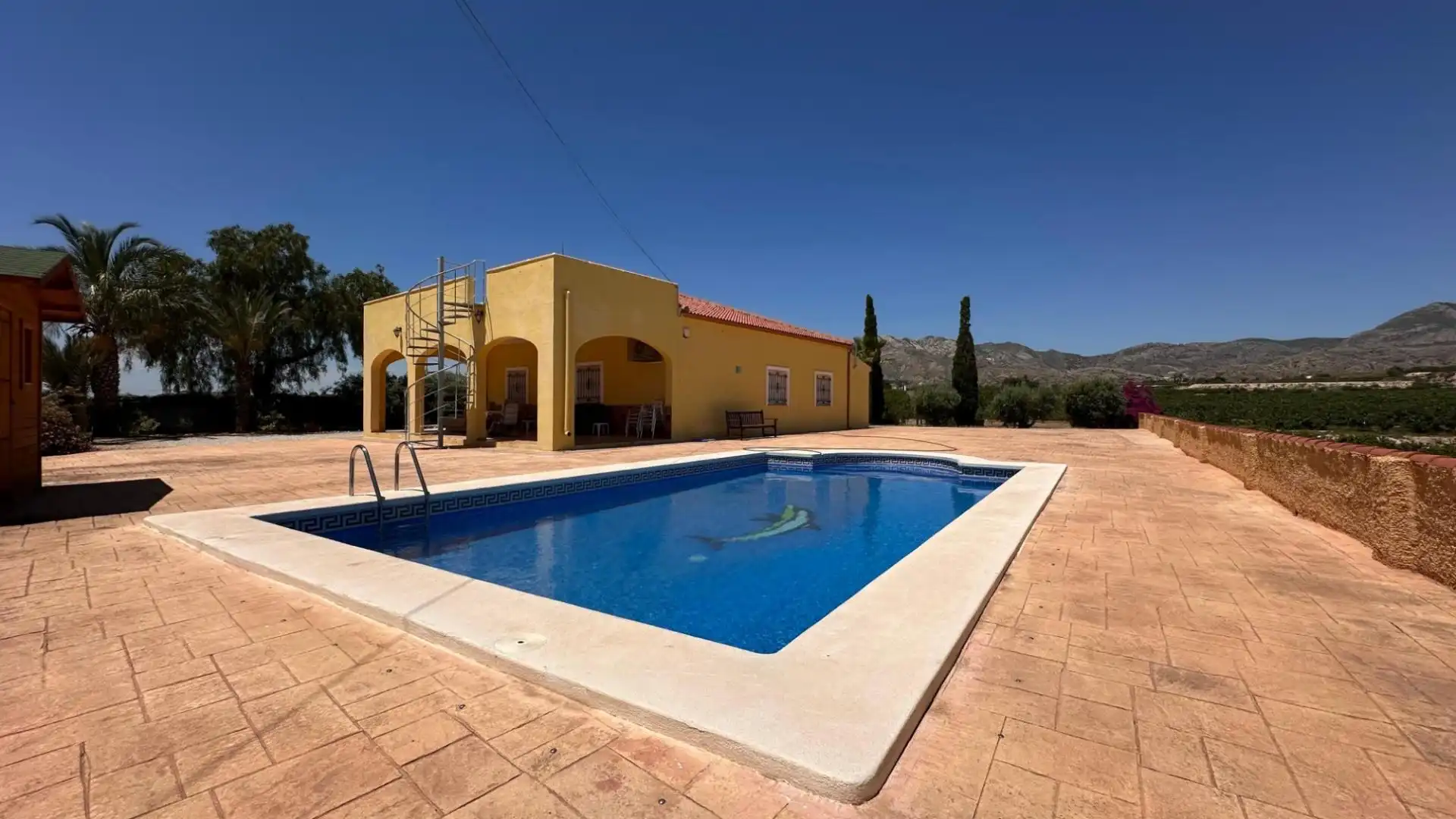 Swimming pool of Houses for sale in Albatera  with Community pool