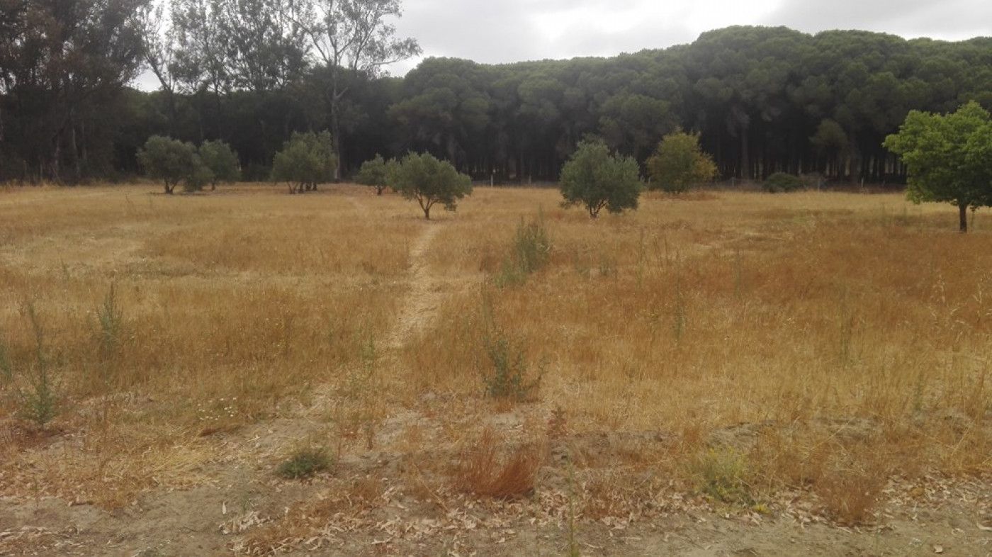 Casa o xalet en venda en Chiclana de la Frontera amb Piscina