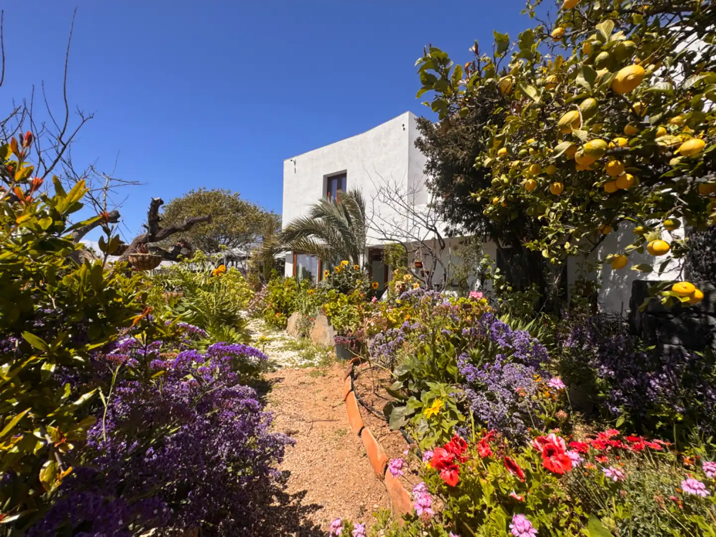 Jardín de Finca rústica en venta en Granadilla de Abona con Calefacción, Jardín privado y Parquet