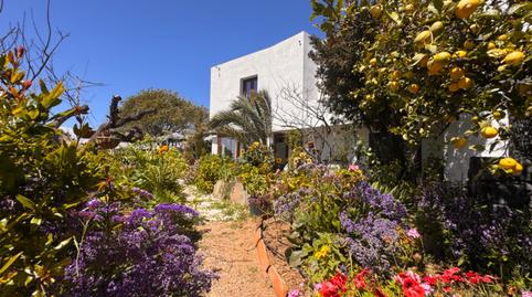 Foto 3 de Finca rústica en venda a Los Blanquitos, Santa Cruz de Tenerife