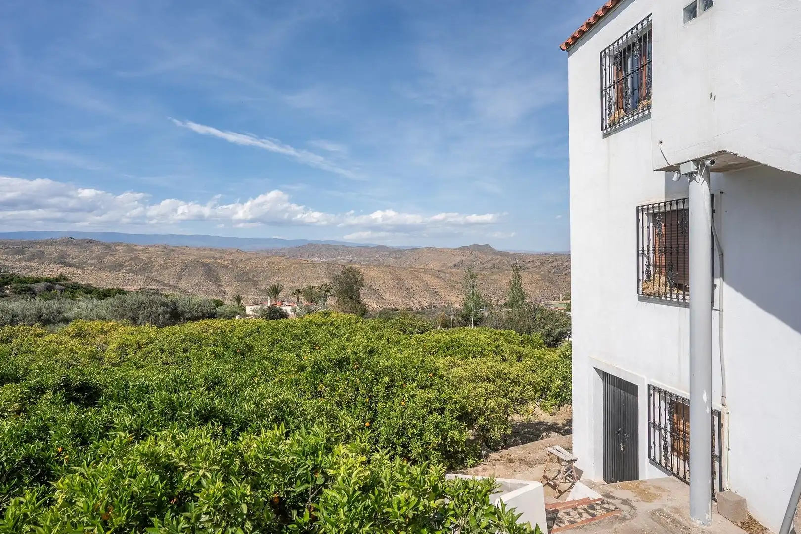 Vista exterior de Casa o chalet en venta en Alhama de Almería con Jardín privado y Terraza