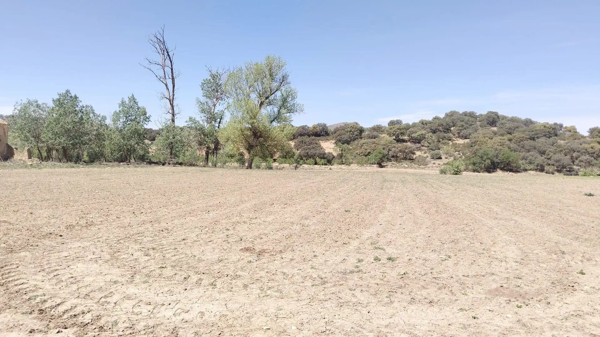 Terrenys i solars en venda a Archidona, imagen 4