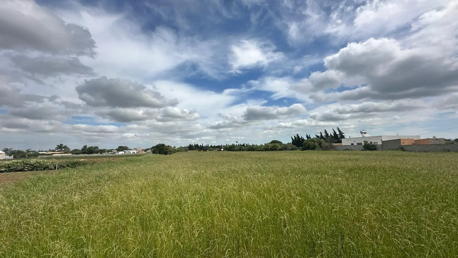 Finca rústica en venda en Conil de la Frontera