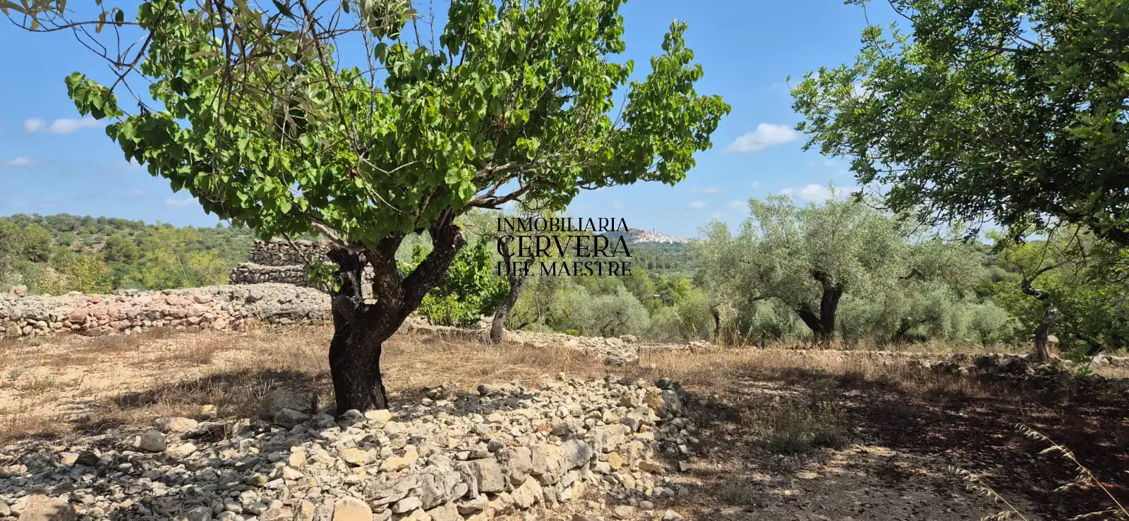 Terreno rustico in vendita a Cervera del Maestre, imagen 10