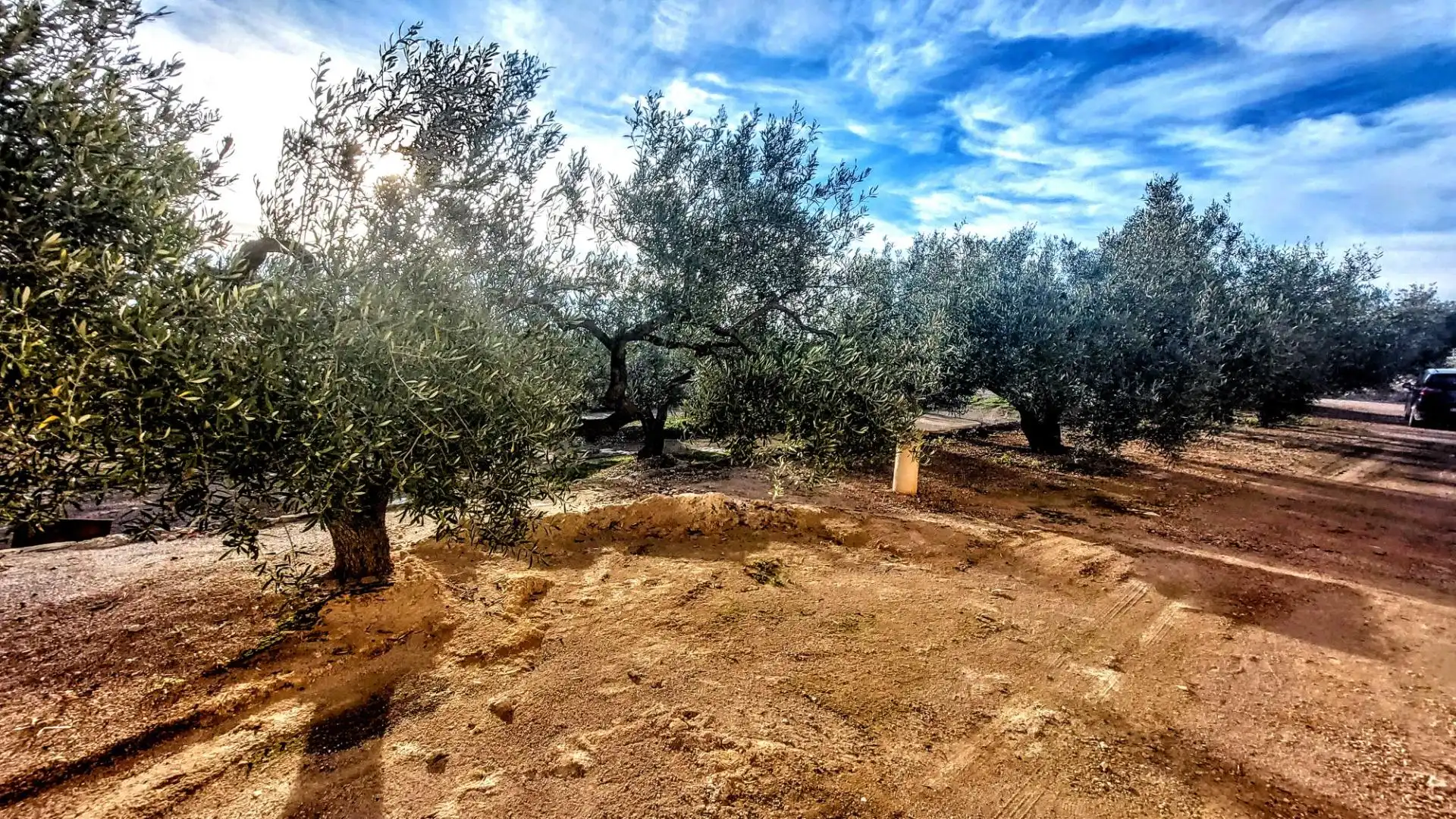 Finca rústica en venda en L'Ametlla de Mar  amb Jardí privat, Terrassa i Moblat