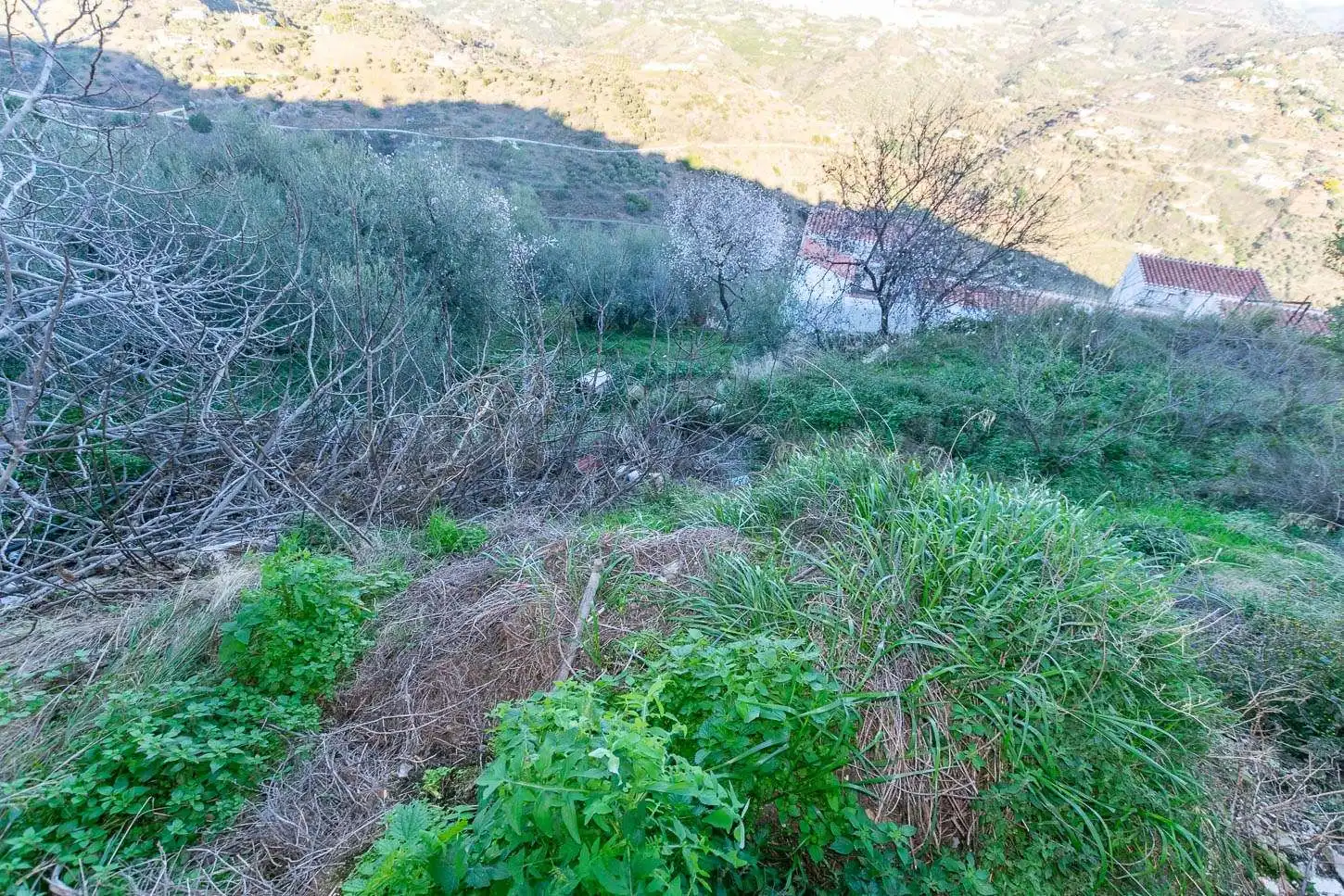 House with garden for sale in Sayalonga, imagen 15