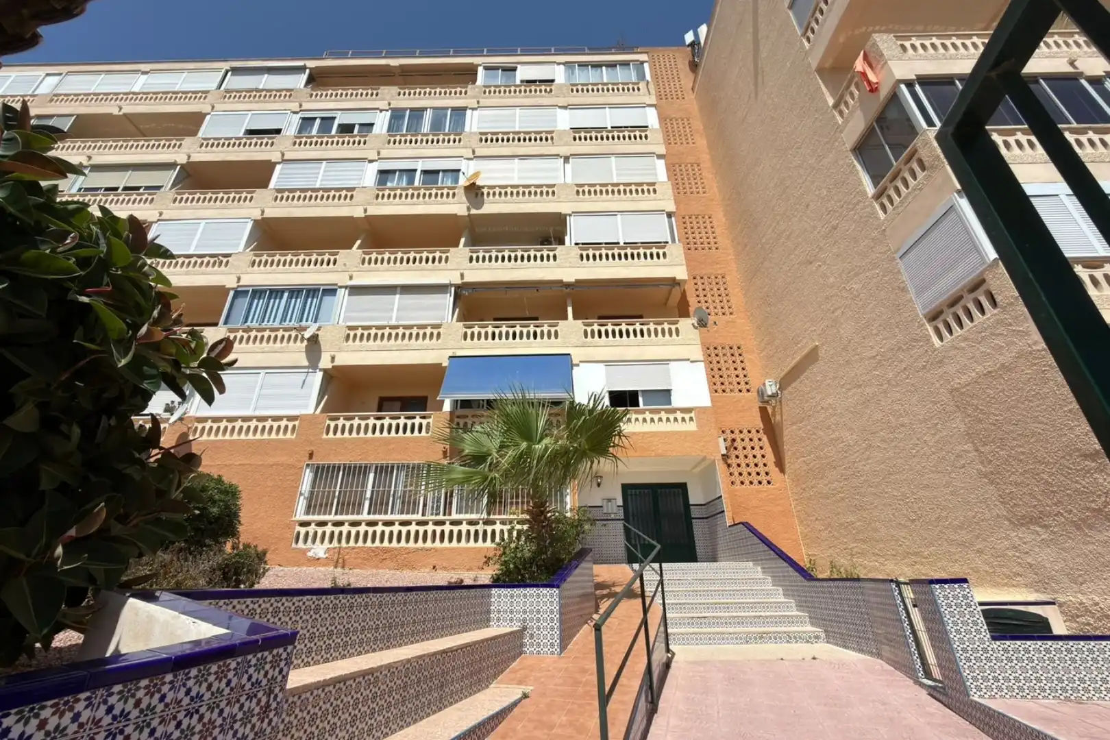 Vista exterior de Estudi en venda en Torrevieja amb Moblat, Rentadora i Piscina comunitària