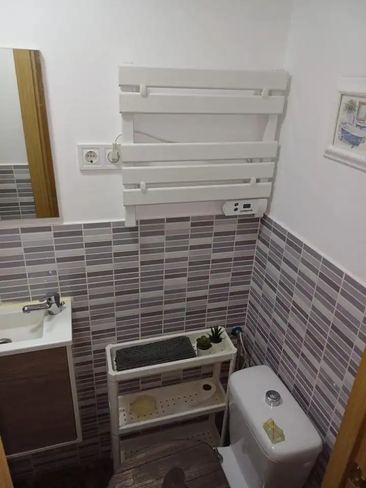 Flat with lift to rent in De L'Actriu Encarna Máñez, imagen 15