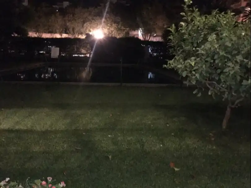 Jardí de Local de lloguer en Marbella Centro