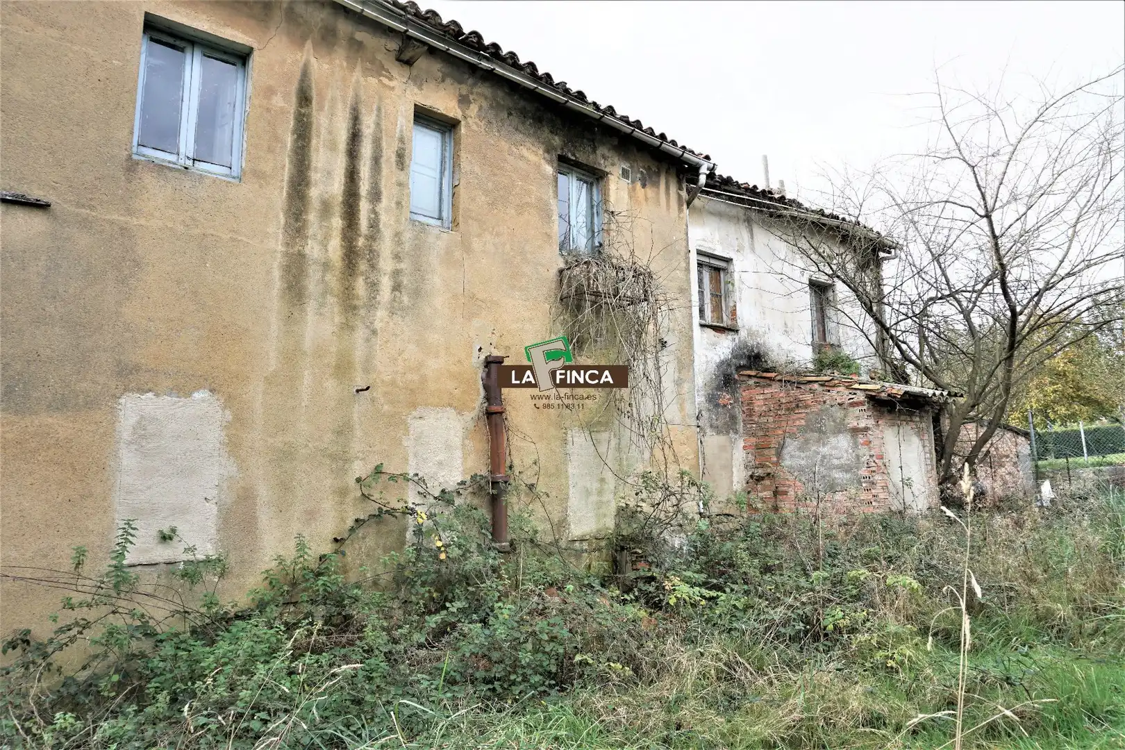 Exterior view of Houses for sale in Oviedo 