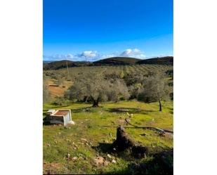 Country house for sale in CM-4000, 27, Burujón