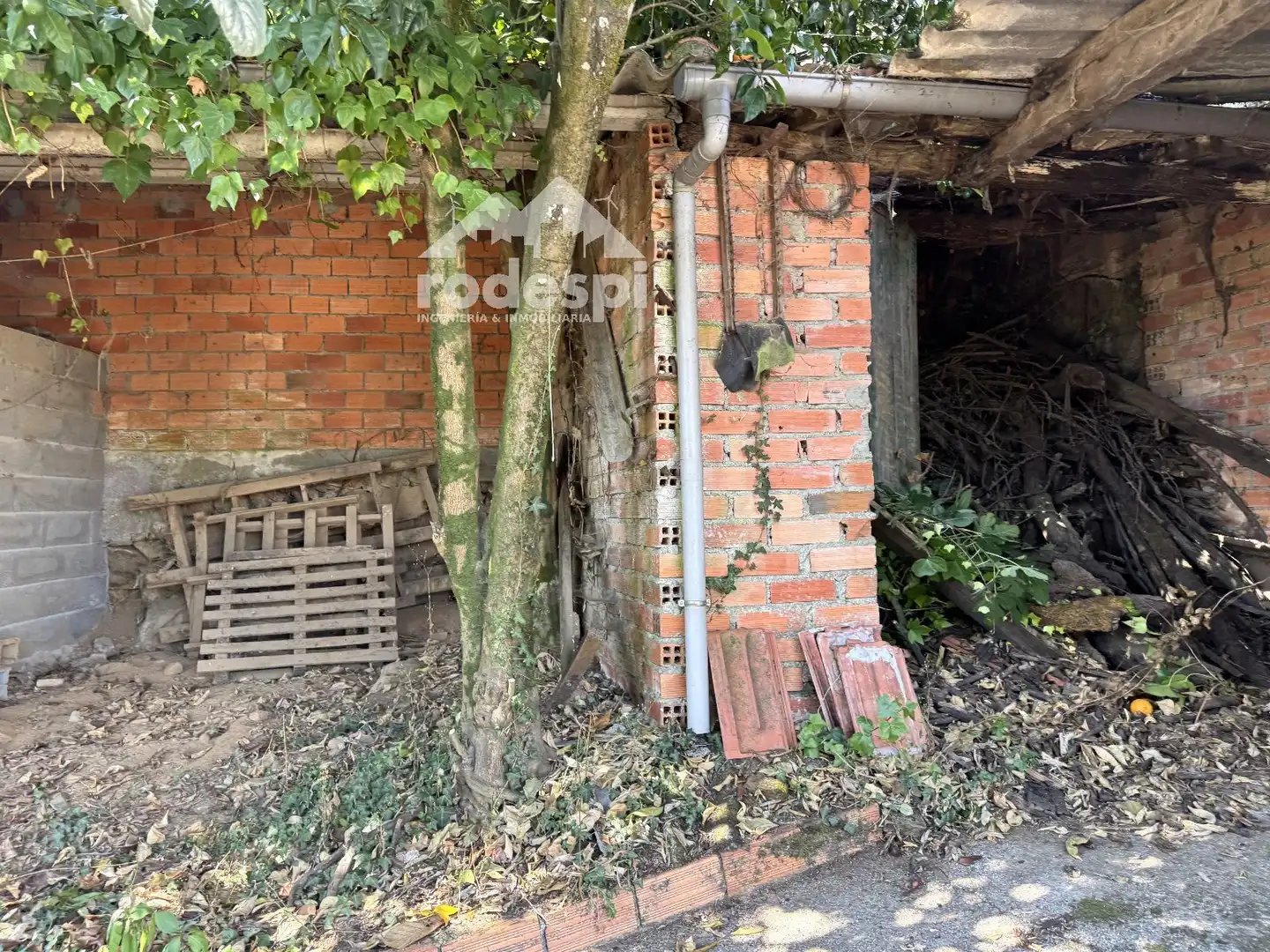 Maison à vendre à Cenlle, imagen 29