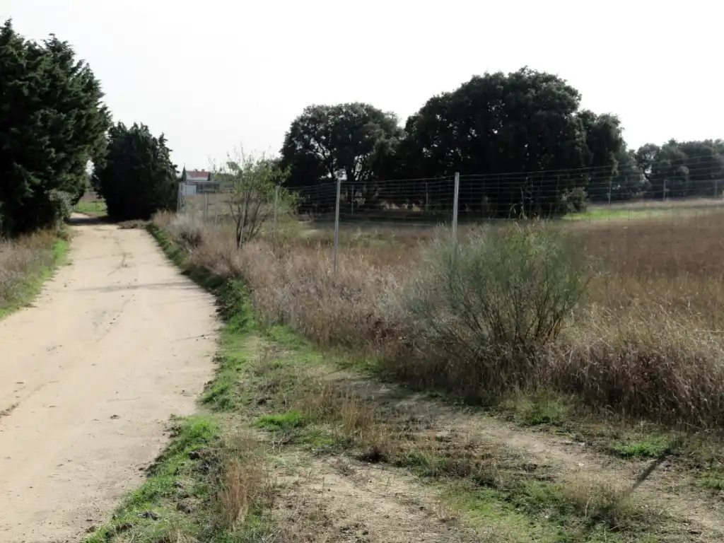 Casa o chalet en venta en Diseminados Camino Casa Roque, 294, La Dehesa - El Pinar