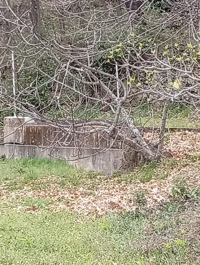 Terreni e lotti in vendita a Valverde de la Vera, imagen 41