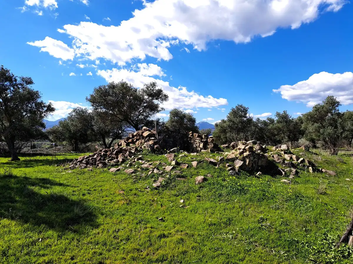 Terreni e lotti in vendita a Coín, imagen 11