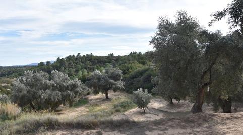 Photo 2 of Land for sale in Calle Mayor, 14, Calaceite, Teruel