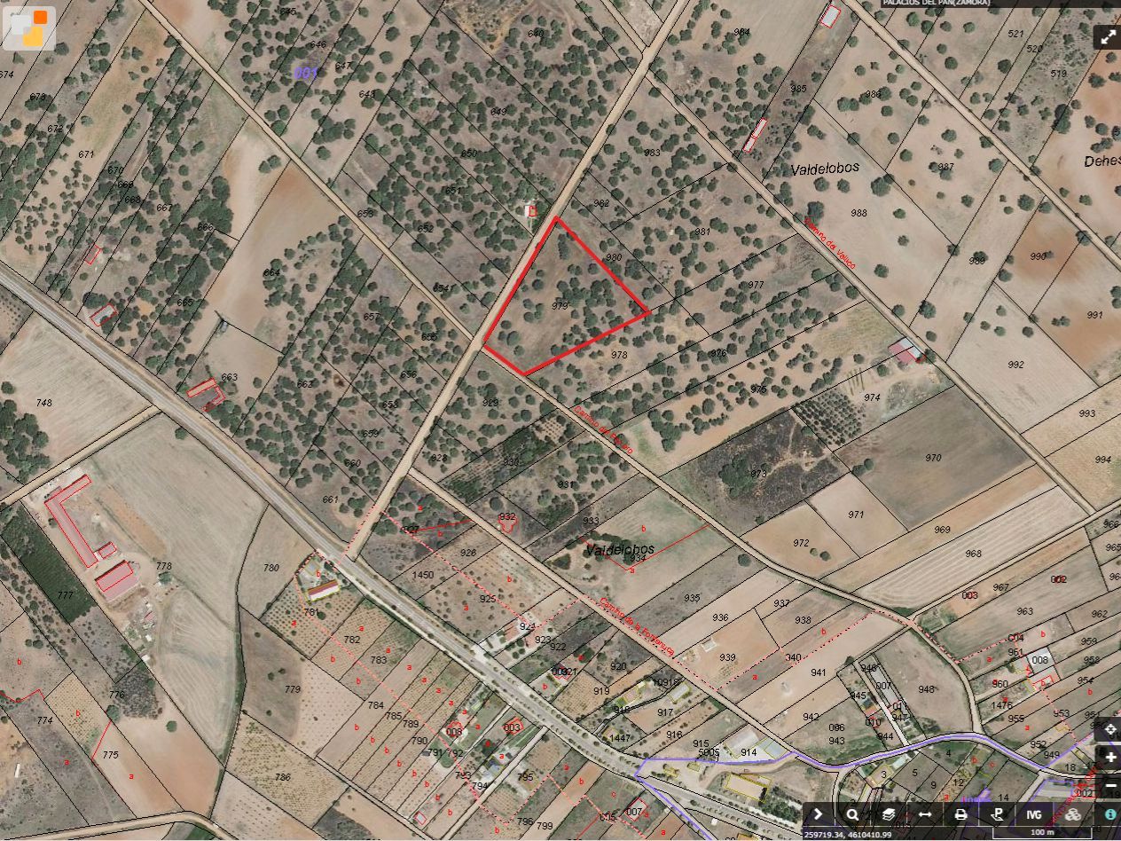 Land for sale in Palacios del Pan