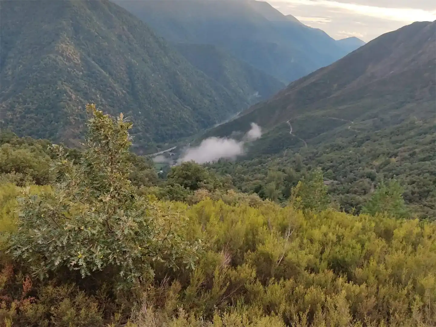 Vista exterior de Finca rústica en venda en Palacios del Sil