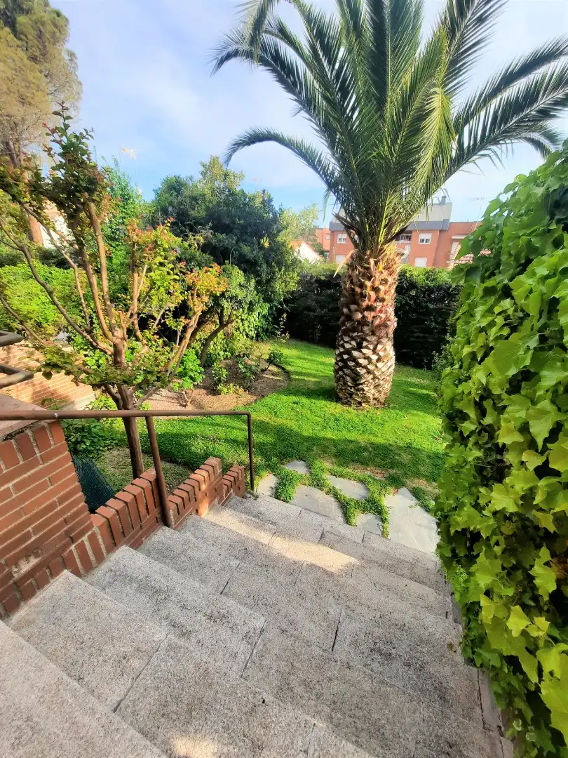 Garden of Detached homes for sale in Las Rozas de Madrid  with Heating, Private garden and Terrace